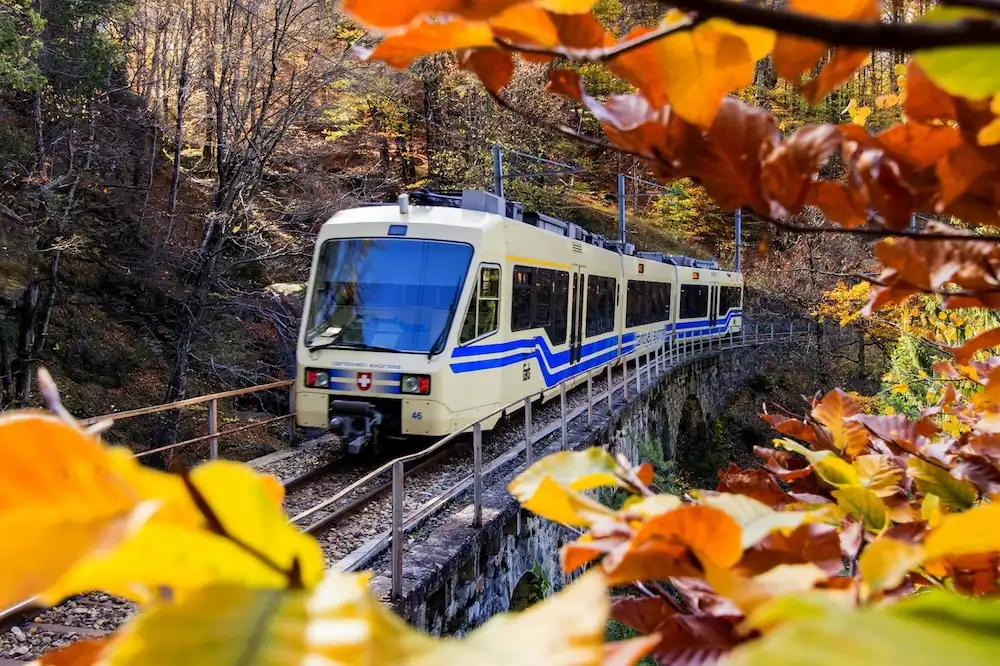 I Treni del Foliage 2026: date, prezzi e 7 percorsi in Italia per vedere la magia dell’autunno dal finestrino