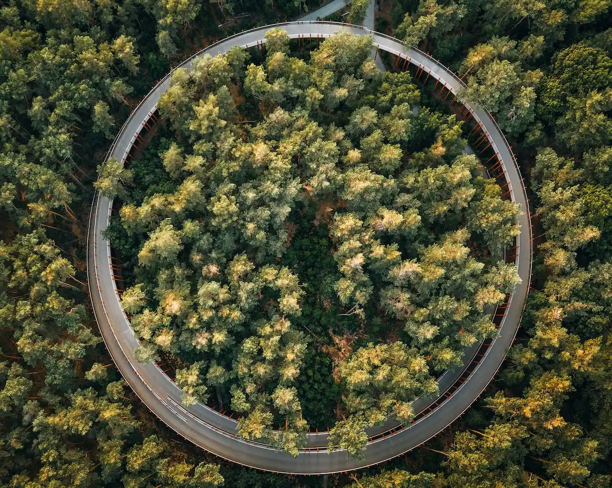 L’anello nella foresta, gli alberi e il lago: se ami i percorsi in bici non puoi perdere il Limburgo belga