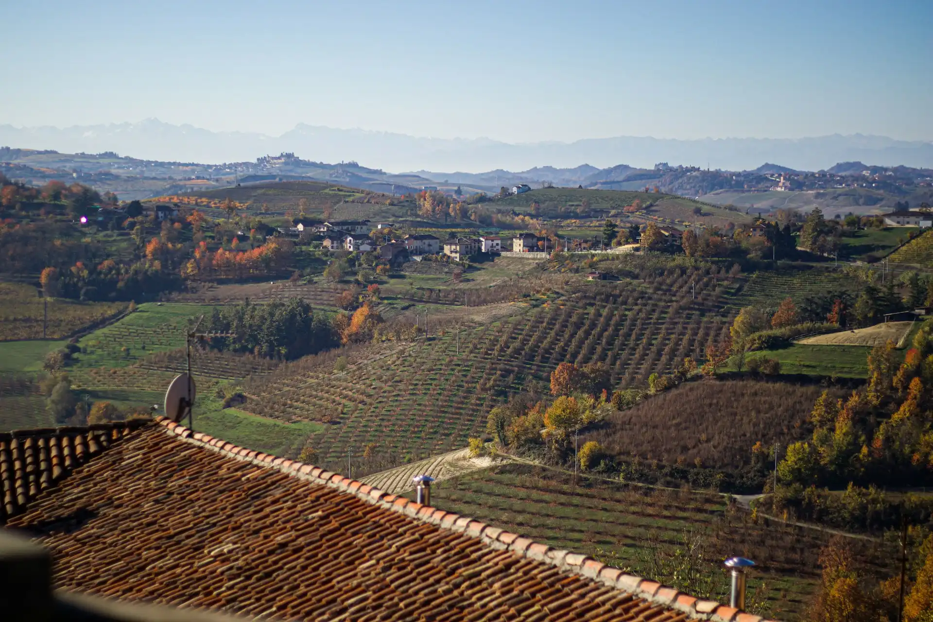 Tra vendemmia e foliage, 8 itinerari in bici in Piemonte da fare a settembre