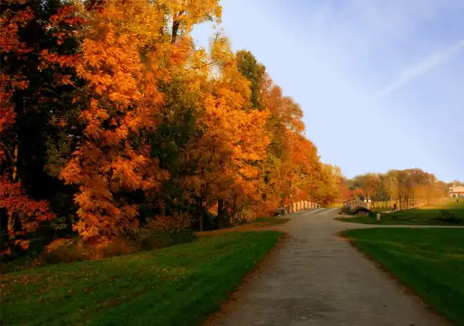 Dove vedere il foliage più bello del mondo: le 10 mete imperdibili prima dell’inverno