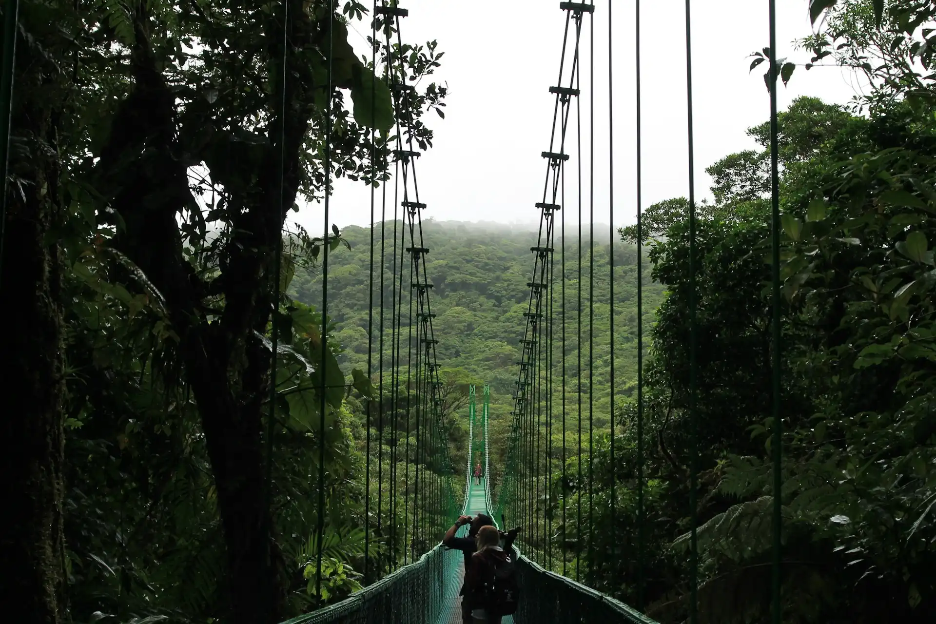 Questa foresta vive dentro una nuvola: Monteverde in Costarica
