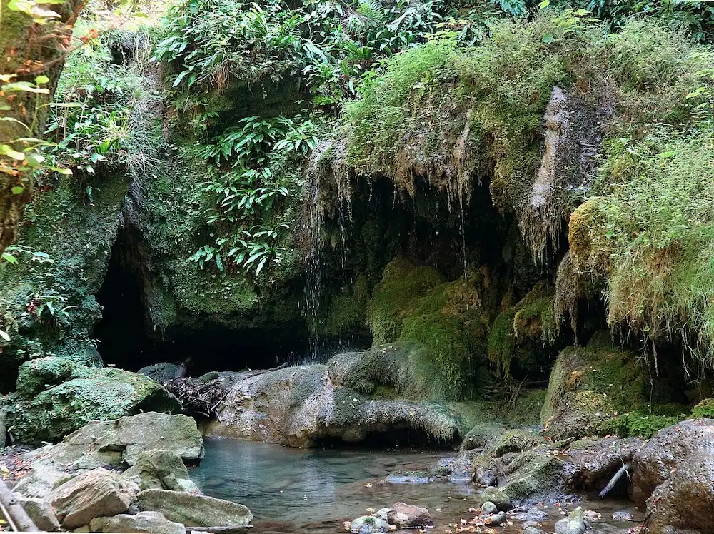 Monoliti, grotte e una cascata bizzarra: nel Sentiero delle Tane scopri l’autunno dell’Appennino bolognese