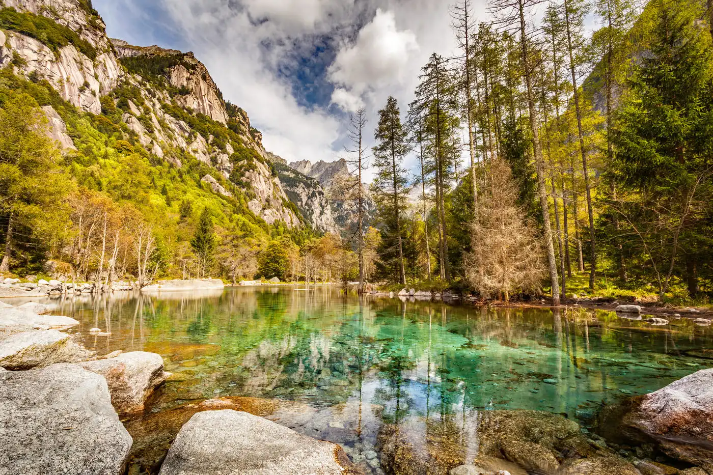 I boschi del foliage dove andare questo weekend 11-12 ottobre: i posti dove i larici sono già oro