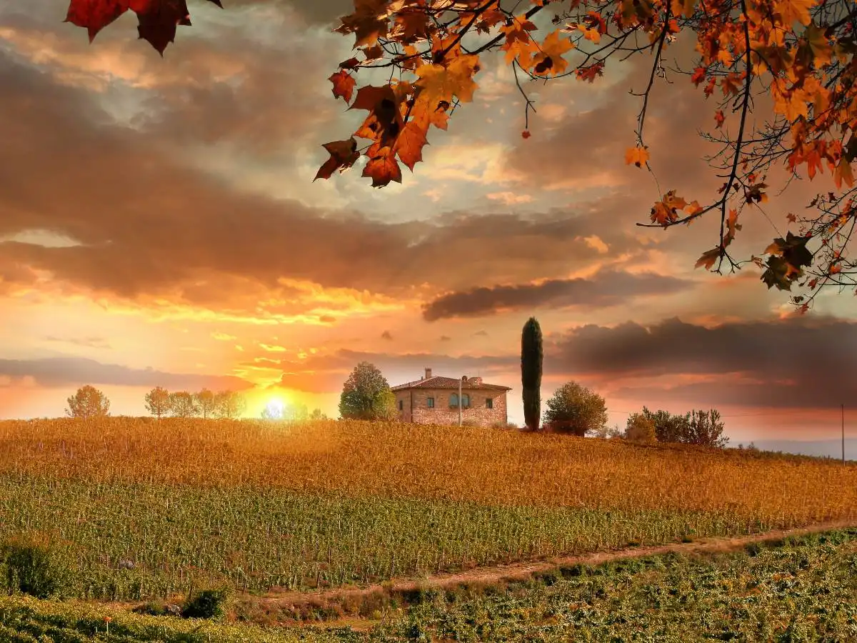 Quando il paesaggio finisce nel bicchiere: 7 territori d’Europa dove il vino racconta storie uniche
