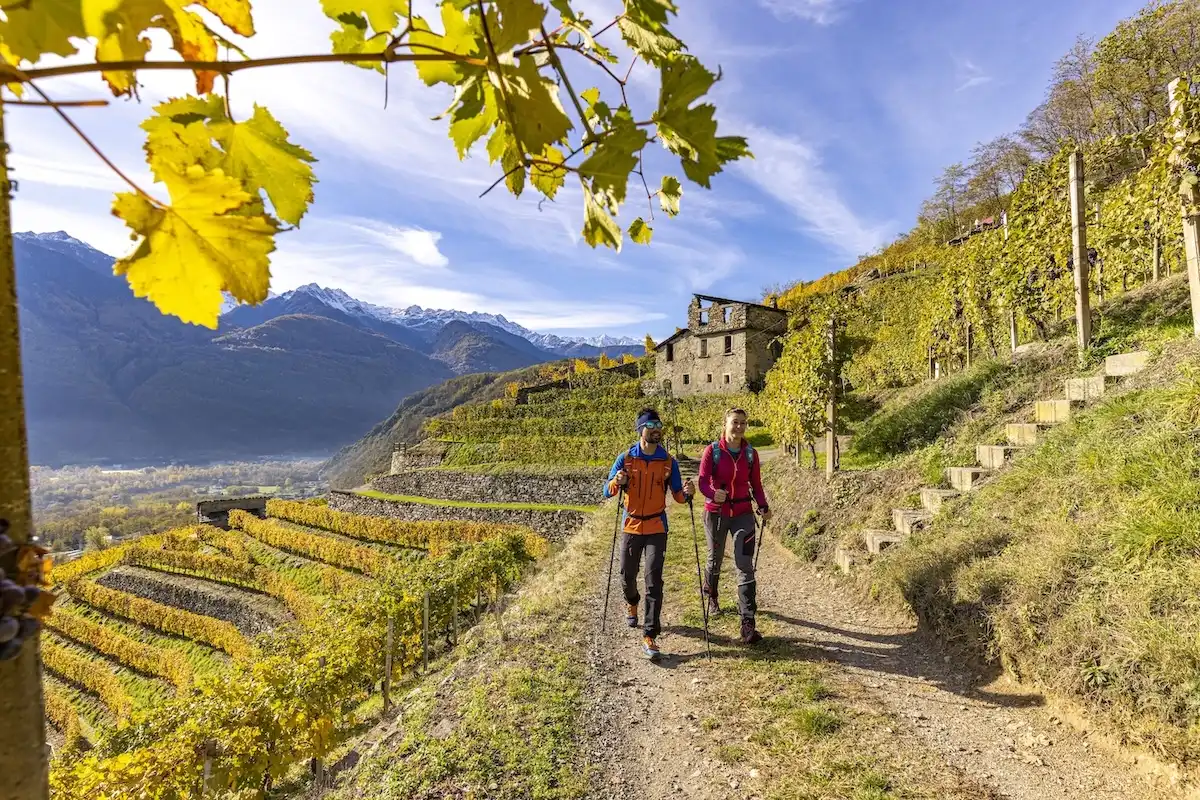 I muretti a secco della Valtellina sono Patrimonio UNESCO: come resistono e perché passeggiare adesso