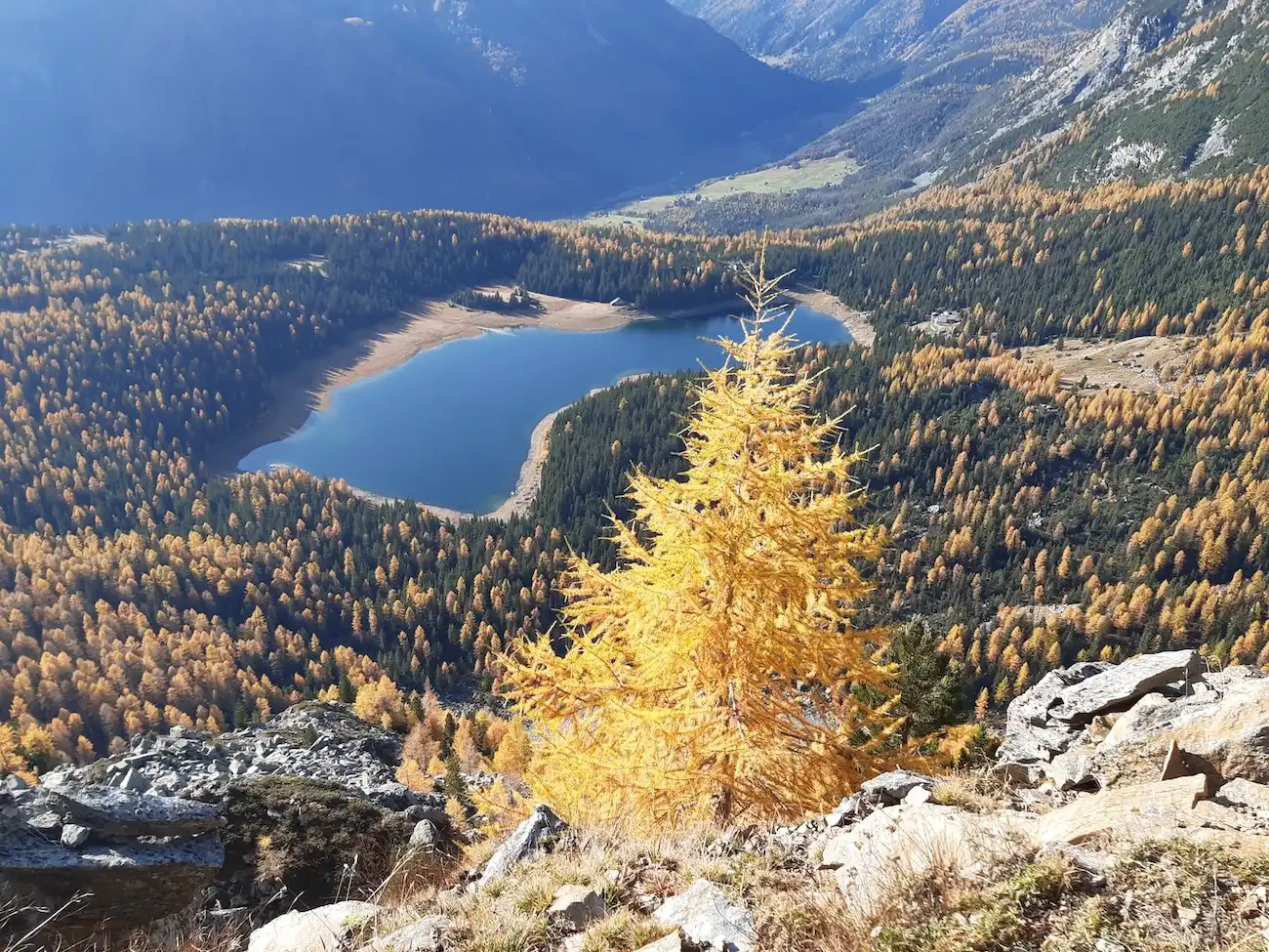 I laghi della Valtellina più belli da vedere adesso, tra Valmalenco e Valle Spluga