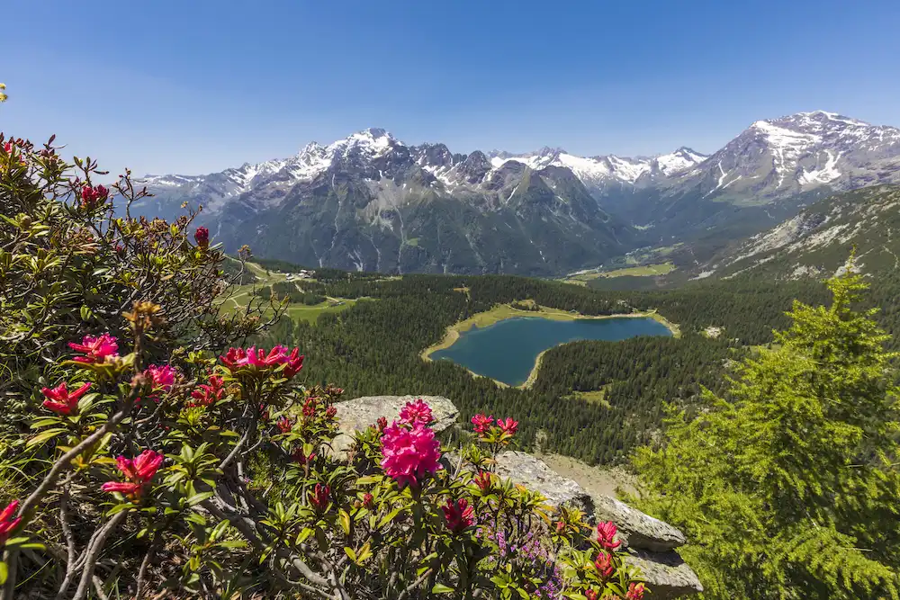 5 Itinerari negli alpeggi della Valtellina, tra montagna e gastronomia