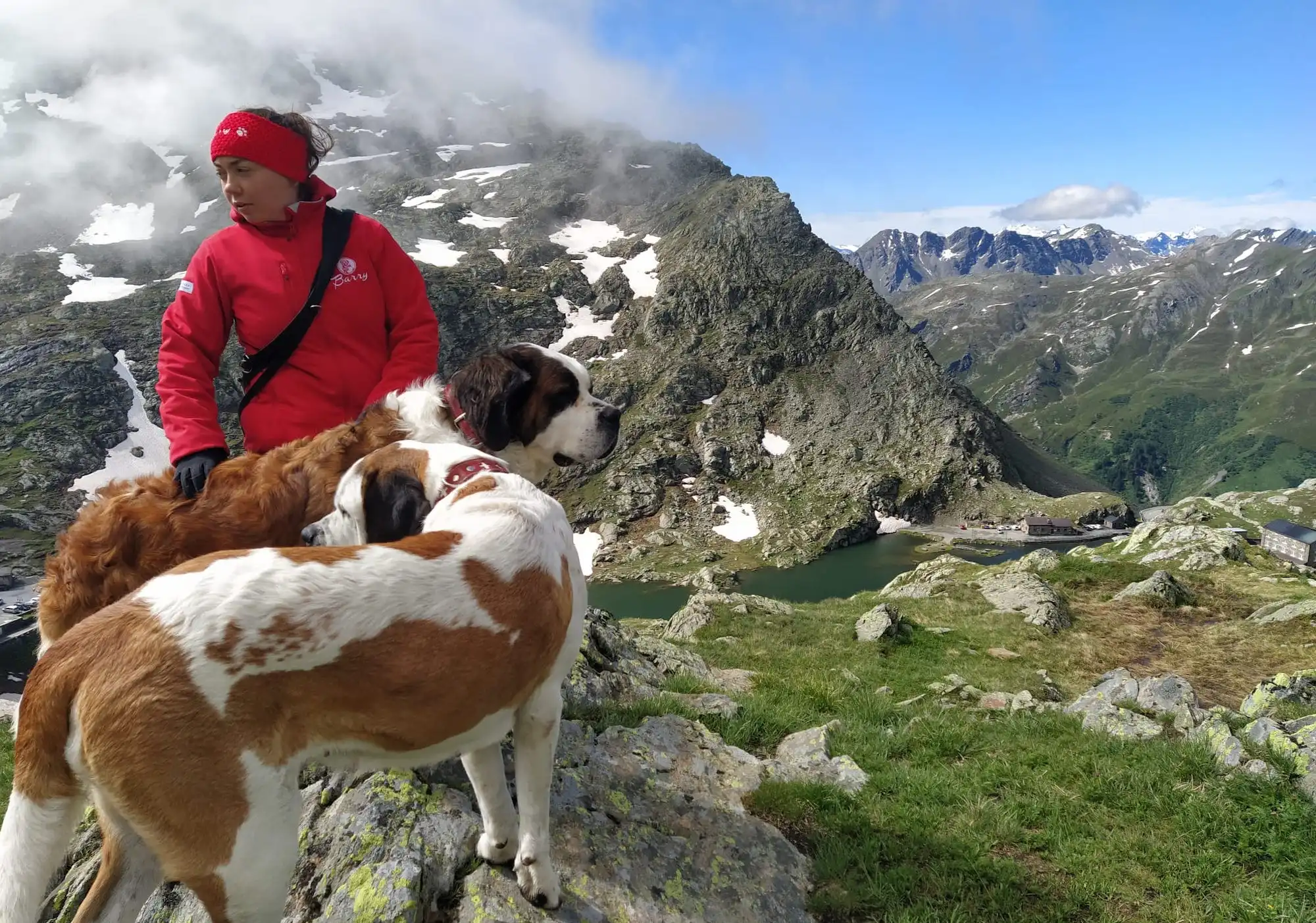 Escursioni da fare in Svizzera: giro sui sentieri del Gran San Bernardo con i cani (è bellissimo!)